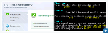 Screenshot Gallery for ESET File Security for Microsoft Windows Server