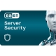 ESET File Security for Windows Server - 2-Year Renewal / 1-10 Seats (Tier B5)