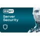 ESET File Security for Windows Server - 3-Year / 1-10 Seats (Tier B5)