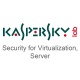 Kaspersky Security for Virtualization, Server - EDU - 2-Year / 15-19 Seats (Band M)