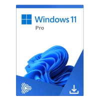 Microsoft Windows 11 Professional