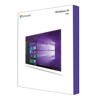 Microsoft Windows 10 Professional - OEM